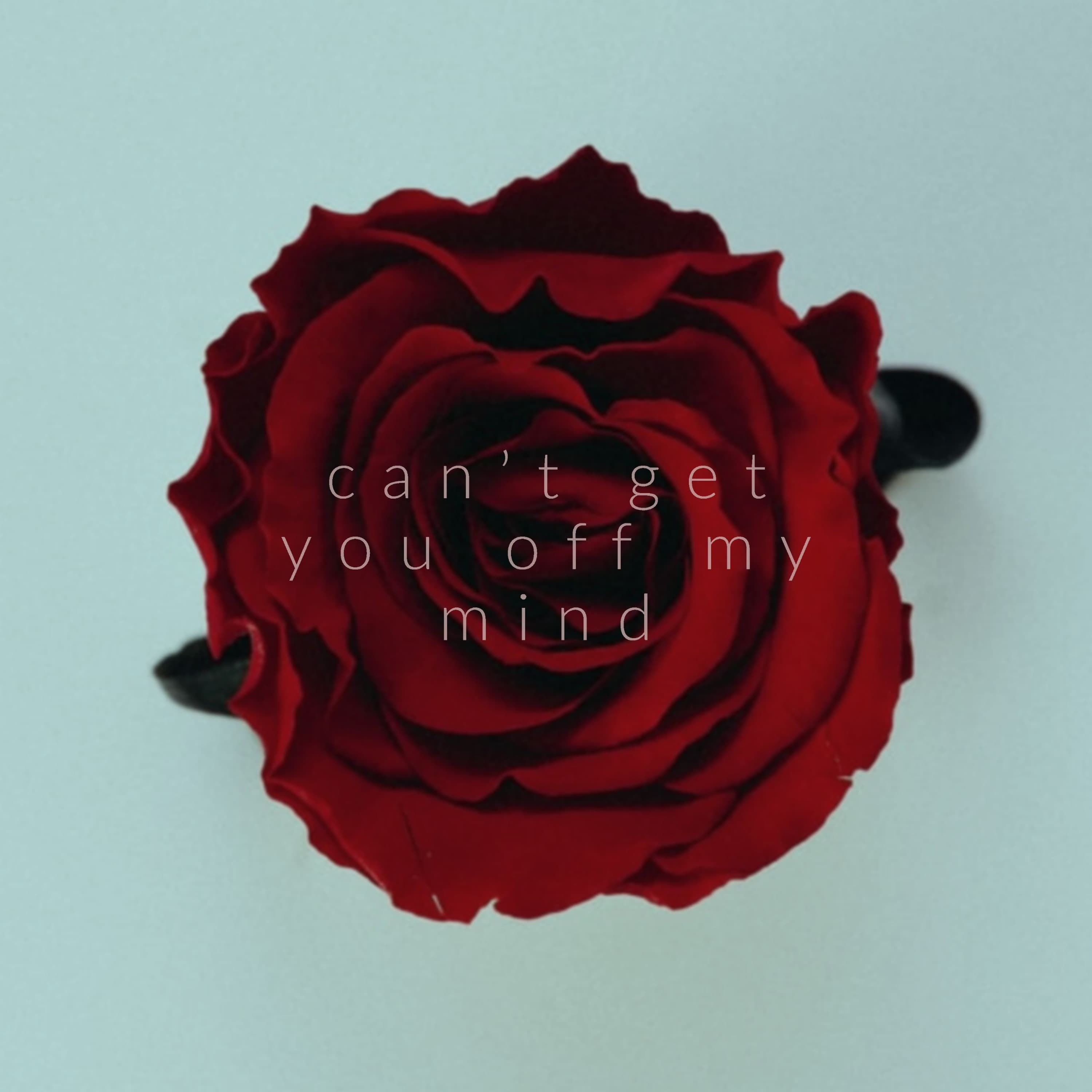 can't get you off my mind
